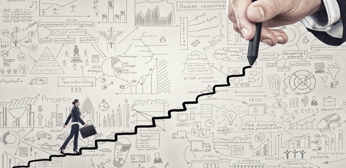 Long-Term Career Plan